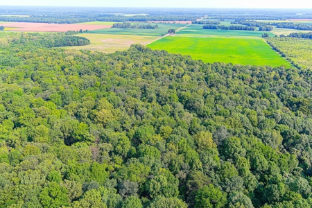 Southeast Mo Row Crop And Waterfowl Hunting Land Auction - image 10