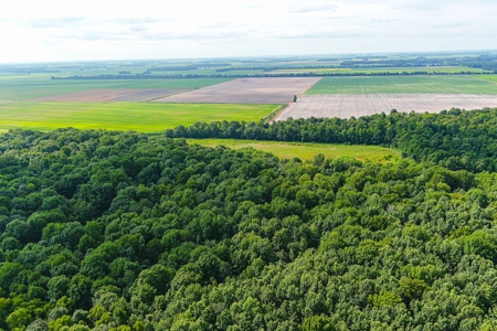 Southeast Mo Row Crop And Waterfowl Hunting Land Auction - image 7