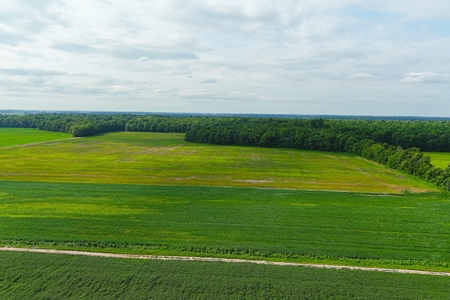 Southeast Mo Row Crop And Waterfowl Hunting Land Auction - image 4