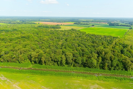 Southeast Mo Row Crop And Waterfowl Hunting Land Auction - image 12