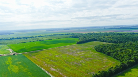 Southeast Mo Row Crop And Waterfowl Hunting Land Auction - image 6