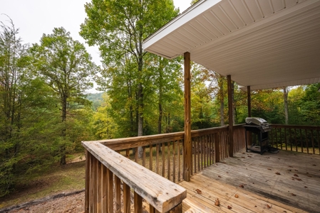 Recreational Retreat for Sale in Roaring Gap NC! - image 7