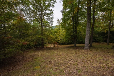 Recreational Retreat for Sale in Roaring Gap NC! - image 4