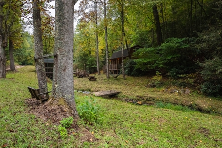 Recreational Retreat for Sale in Roaring Gap NC! - image 22