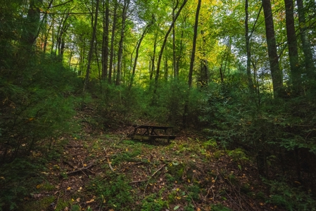Recreational Retreat for Sale in Roaring Gap NC! - image 17