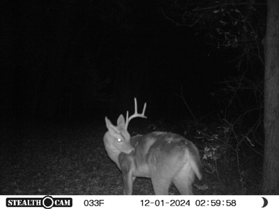 80 Acres! - image 18