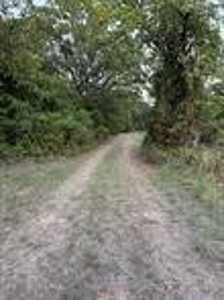 80 Acres! - image 2