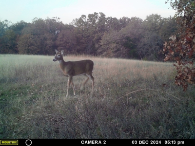 80 Acres! - image 17