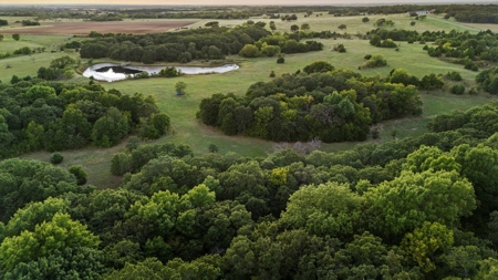 80 Acres! - image 9
