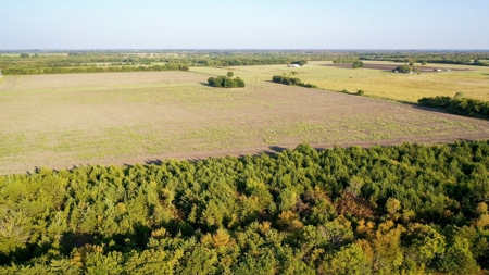 Pasture and Ranch Land For Sale in NE TX - image 19
