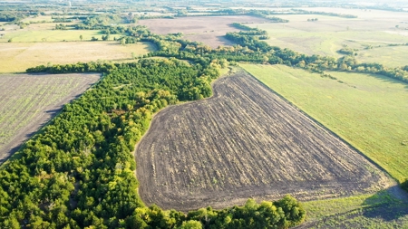 Pasture and Ranch Land For Sale in NE TX - image 16