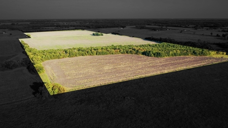 Pasture and Ranch Land For Sale in NE TX - image 1