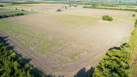 Pasture and Ranch Land For Sale in NE TX - image 13