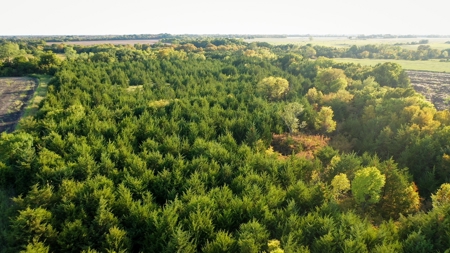 Pasture and Ranch Land For Sale in NE TX - image 22