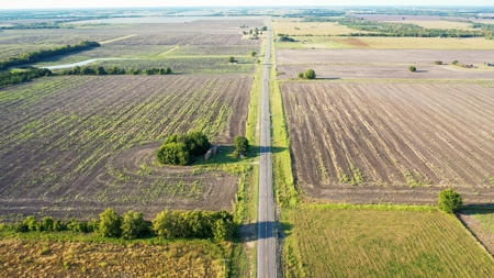Pasture and Ranch Land For Sale in NE TX - image 11
