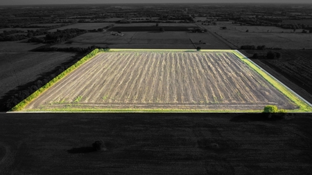 Pasture and Ranch Land For Sale in NE TX - image 2