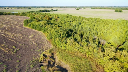 Pasture and Ranch Land For Sale in NE TX - image 38