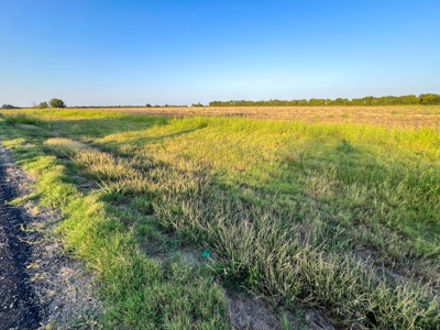 Pasture and Ranch Land For Sale in NE TX - image 33