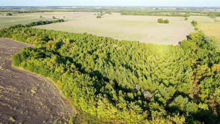 Pasture and Ranch Land For Sale in NE TX - image 40