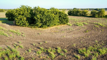 Pasture and Ranch Land For Sale in NE TX - image 25