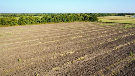 Pasture and Ranch Land For Sale in NE TX - image 5