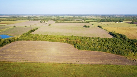Pasture and Ranch Land For Sale in NE TX - image 4