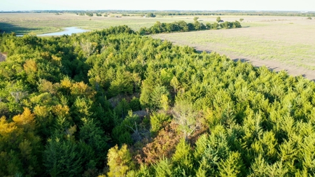 Pasture and Ranch Land For Sale in NE TX - image 23