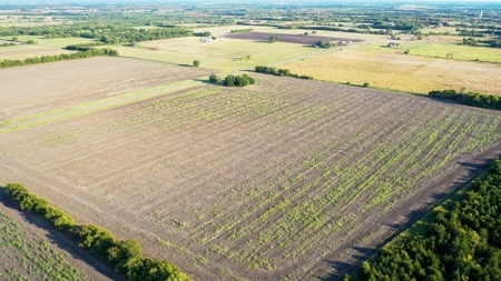 Pasture and Ranch Land For Sale in NE TX - image 15