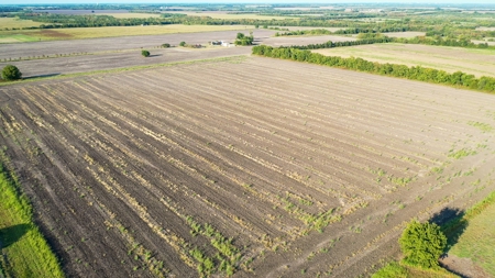 Pasture and Ranch Land For Sale in NE TX - image 9