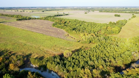 Pasture and Ranch Land For Sale in NE TX - image 14