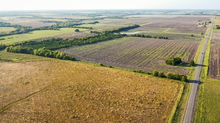 Pasture and Ranch Land For Sale in NE TX - image 12