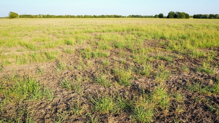 Pasture and Ranch Land For Sale in NE TX - image 24