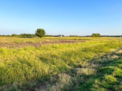 Pasture and Ranch Land For Sale in NE TX - image 36