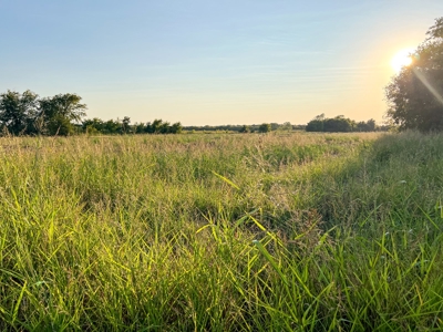 Pasture and Ranch Land For Sale in NE TX - image 35
