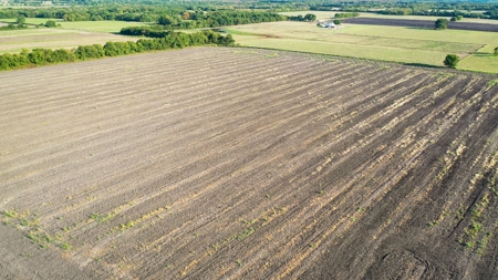 Pasture and Ranch Land For Sale in NE TX - image 8