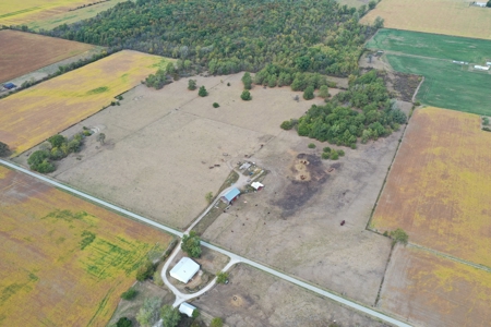 Pasture and Recreation Land Auction - Tues. Nov. 12th @ 6PM - image 6