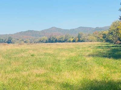 River Lot For Sale In Arkansas - image 5