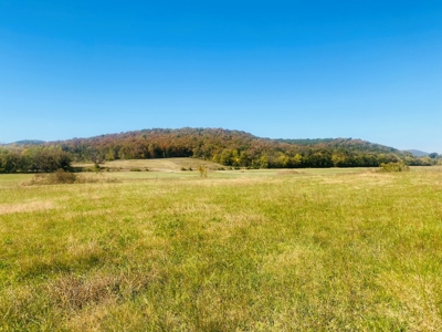 River Lot For Sale In Arkansas - image 8