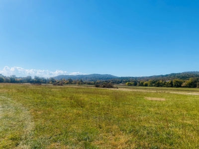 River Lot For Sale In Arkansas - image 7