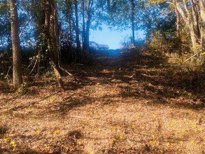 River Lot For Sale In Arkansas - image 12