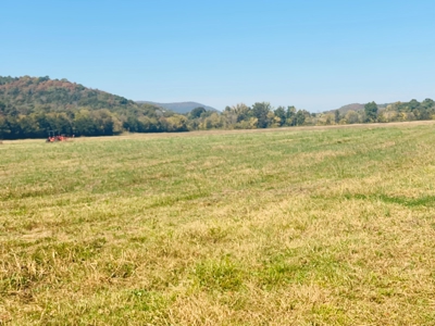 River Lot For Sale In Arkansas - image 13