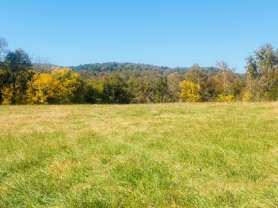 River Lot For Sale In Arkansas - image 6