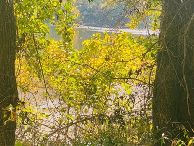 River Lot For Sale In Arkansas - image 10