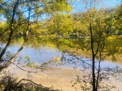 River Lot For Sale In Arkansas - image 11