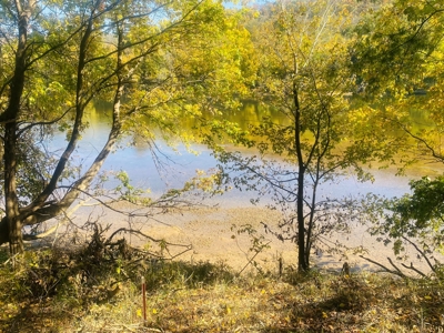 River Lot For Sale In Arkansas - image 9