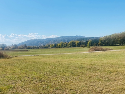 River Lot For Sale In Arkansas - image 14
