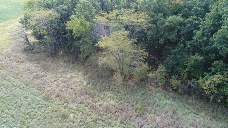 70± Acres in Schuyler County, Missouri - image 17