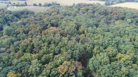 70± Acres in Schuyler County, Missouri - image 31