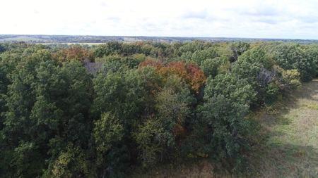 70± Acres in Schuyler County, Missouri - image 18