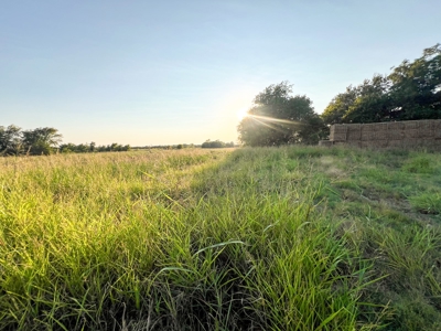 Pasture and Ranch Land For Sale Roxton TX - image 46